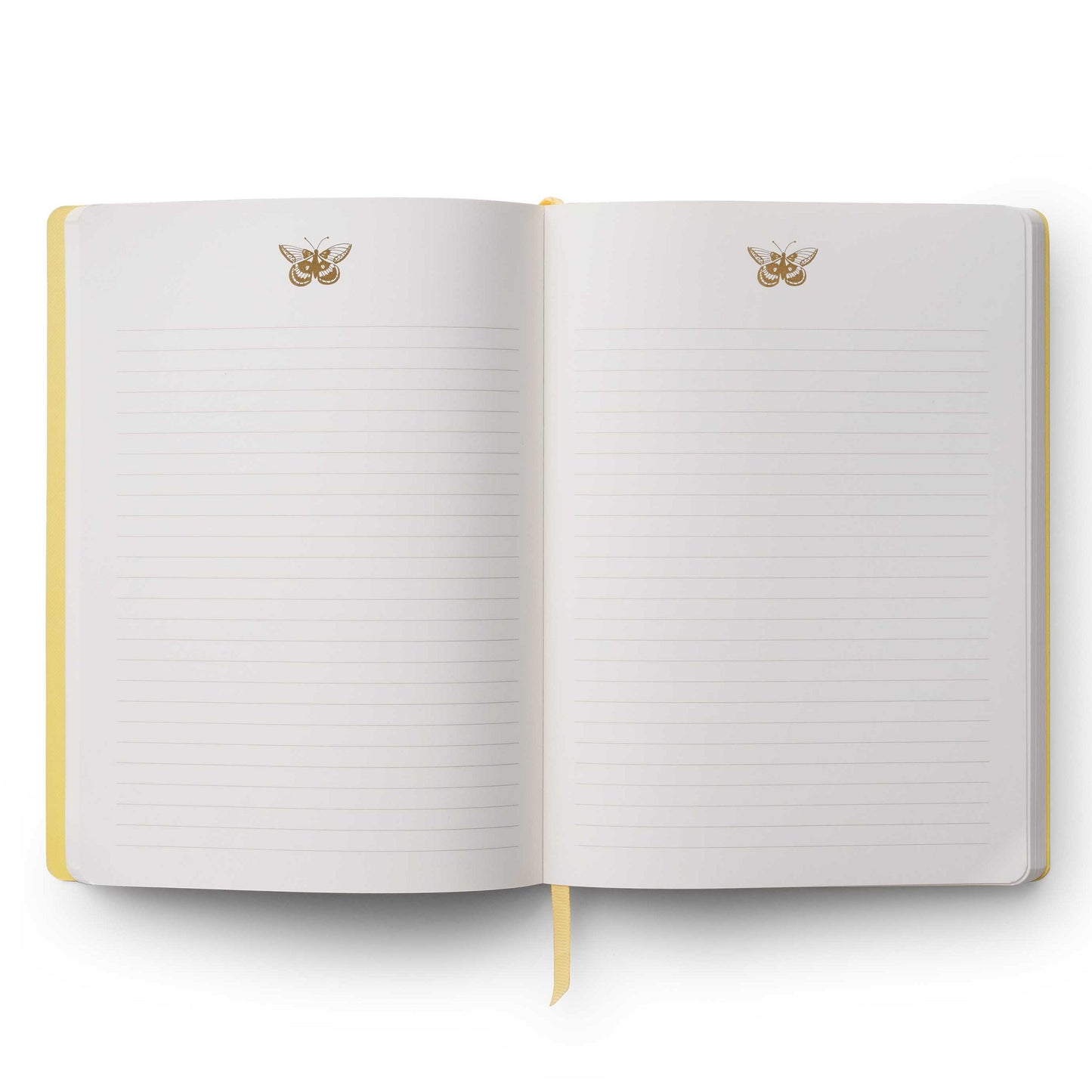 Curio Butterfly Journal