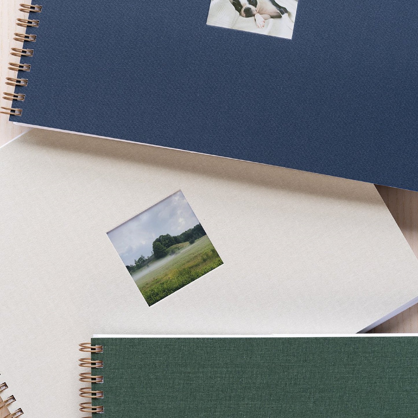 Fern Green Photo Journal