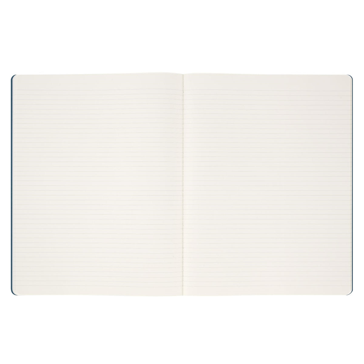 Blue Student Cahier Journal