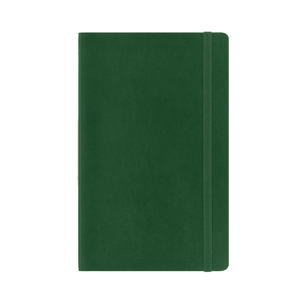 Classic Myrtle Green Plain Large Notebook