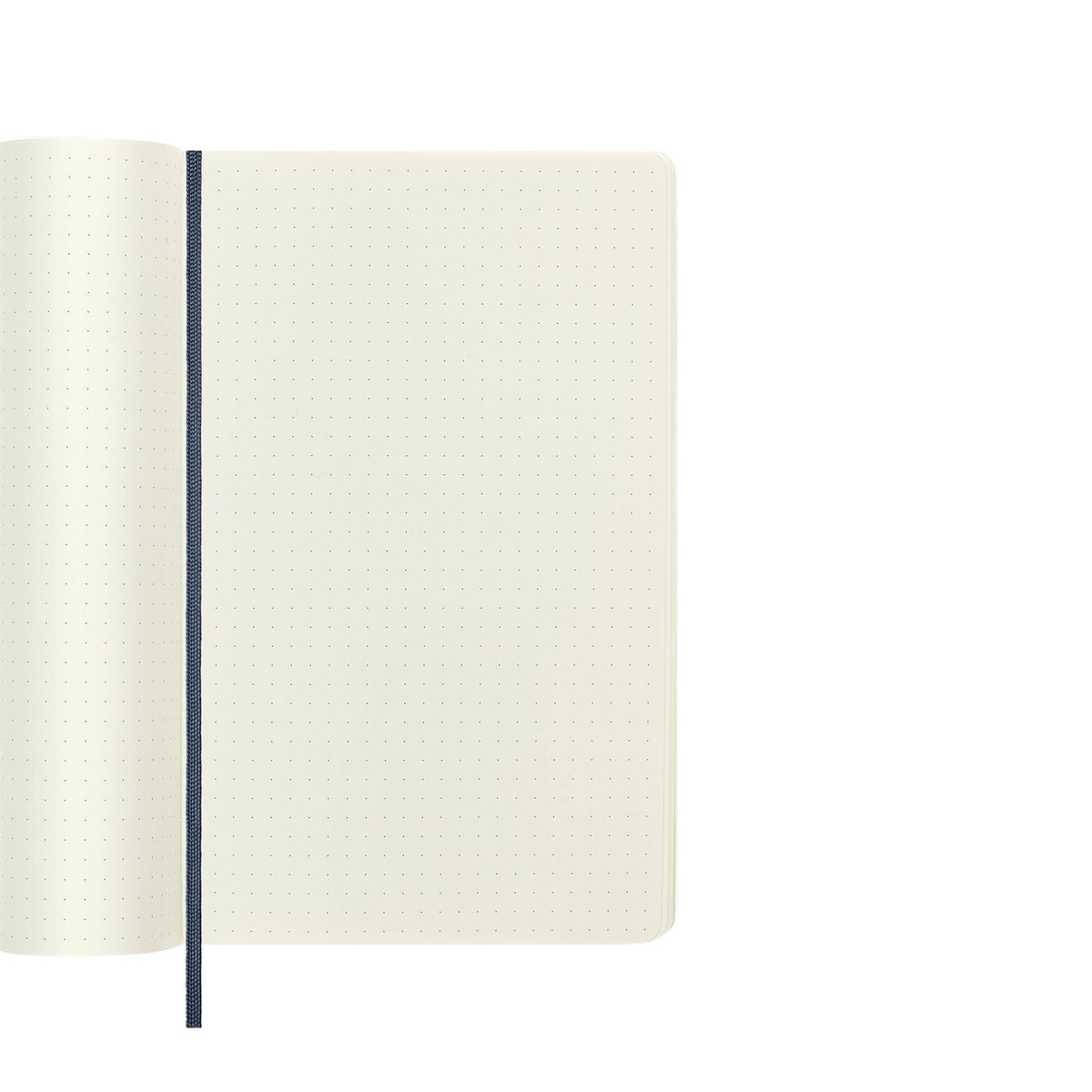 Classic Sapphire Blue Dot Grid Large Notebook