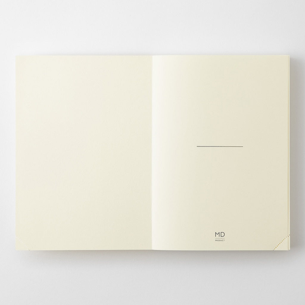 Codex One Day a Page Blank Journal