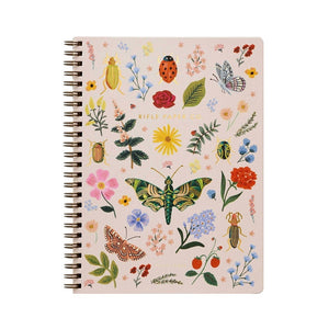 Curio Notebook