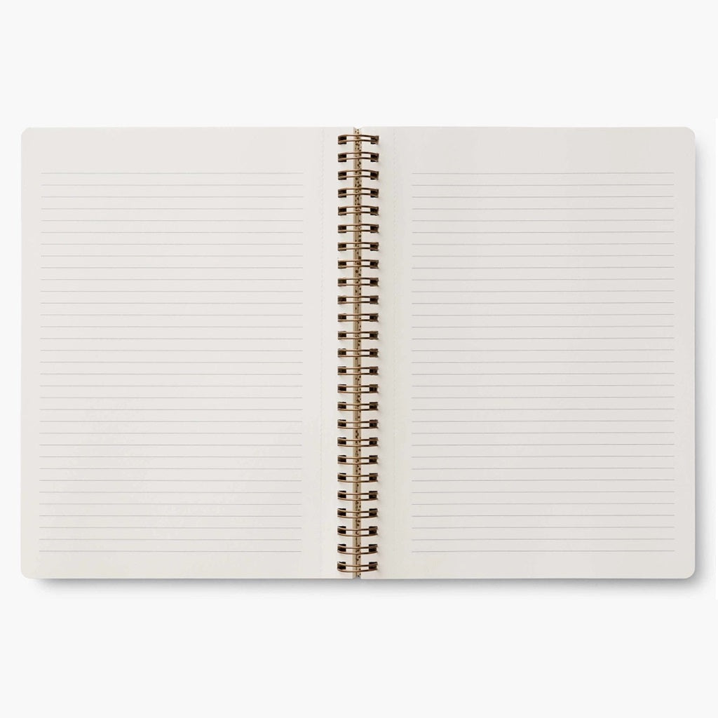 Curio Notebook