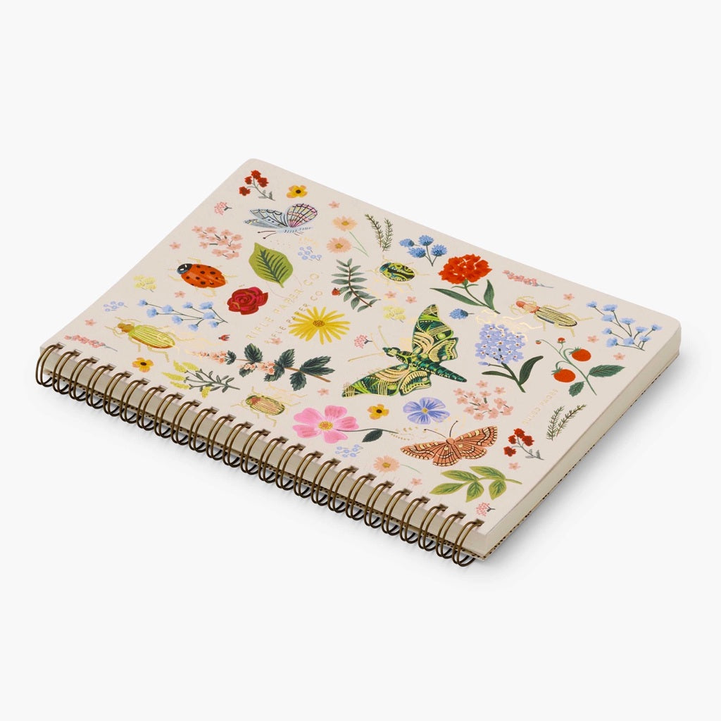 Curio Notebook