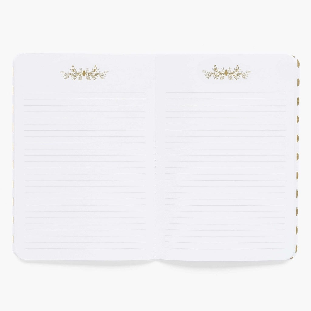 Curio Notebook Set