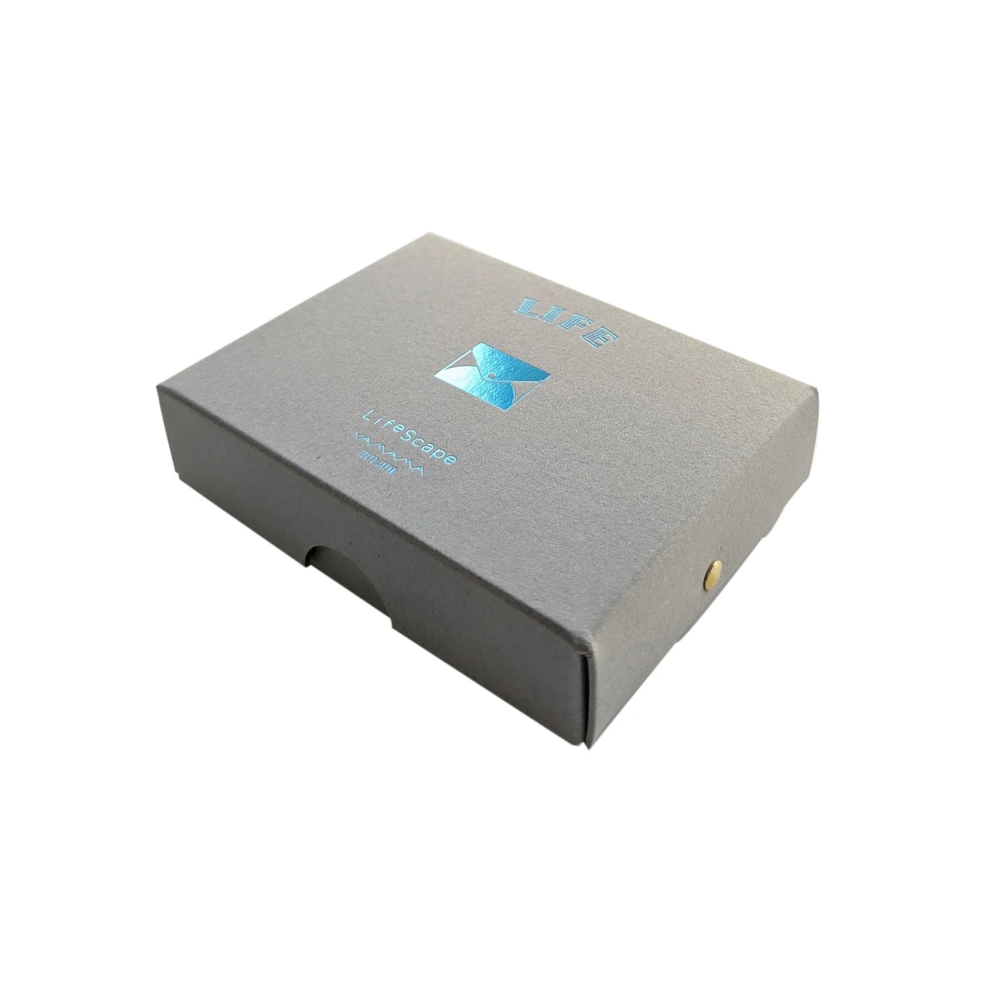 Lifescape Ruled Sticky Notes Case