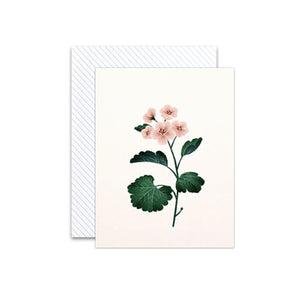 Botanical Germanium Scented Card