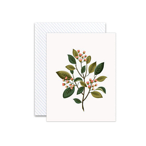 Botanical Sandalwood Scented Card
