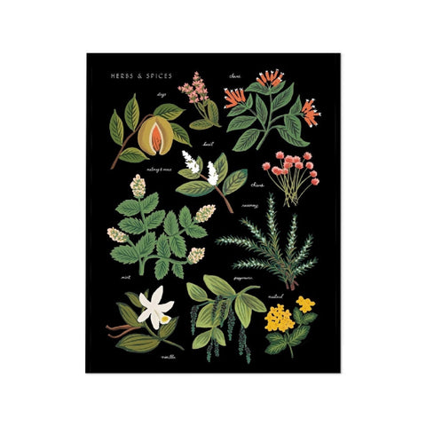 Herbs & Spices Art Print