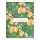 Lemons Workbook